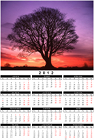 Roční obrázkový kalendář